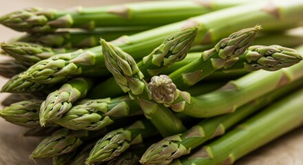 Fresh Green Asparagus Spears Close Up