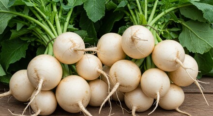 Fresh White Turnips Harvest on Wooden Background