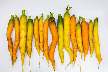 Fresh homegrown carrots isolated on white background. Grown organically without pesticides or...