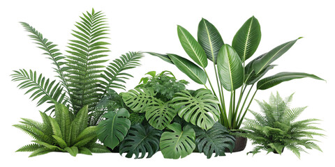 Lush tropical foliage arrangement with various green plants isolated on transparent background