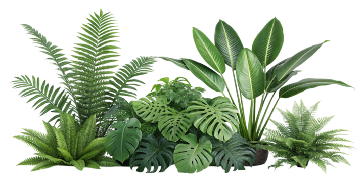 Lush tropical foliage arrangement with various green plants isolated on transparent background