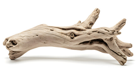 Naklejka premium Ancient Driftwood: A detailed, textured piece of driftwood rests, showing natural artistry, revealing the passage of time. capturing the unique beauty of weathered wood.