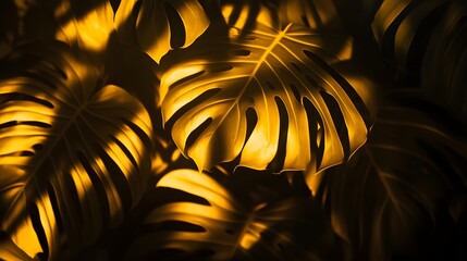 Golden Monstera Leaves Tropical Plant Background