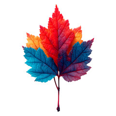 Fototapeta premium Elegant autumn leaf collection on white — modern vector, watercolor, and paper‑cut foliage set with vibrant orange and gold tones for seasonal branding, cards, posters, and web design.