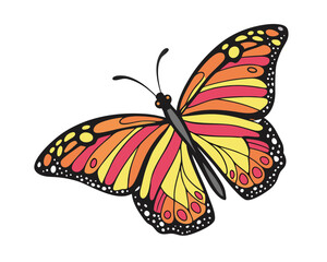 Beautiful Monarch Butterfly Illustration Isolated on White Background Perfect for Childrens Books and Nature Education Projects