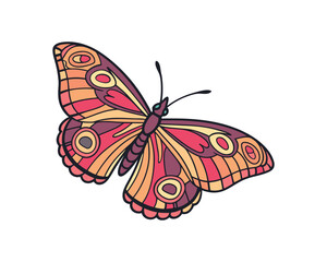 Stylized butterfly vector illustration with intricate wing patterns in shades of orange pink and purple on a clean white background perfect for design elements