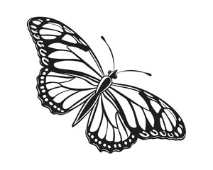 Elegant Black and White Butterfly Vector Illustration with Intricate Wing Patterns on a Clean White Background Perfect for Design Projects