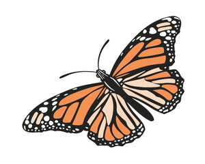 Vibrant Monarch Butterfly Illustration Isolated on White Background Inspiring Symbol of Transformation and Beauty in Nature