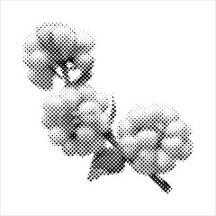 Cotton branch in halftone style. Retro textured style with dotted halftone effect. For eco decor, textile design, posters and packaging.