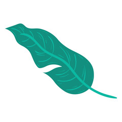 Flat tropical green leaf with detailed veins Vector