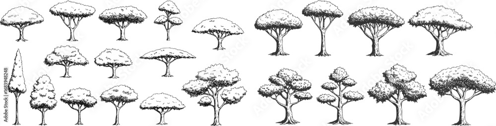 Aufkleber set of trees element nature hand drawing symbol for architecture and landscape vector illustration. 