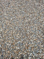 Pebbles from a Rocky English Beach in East Britain