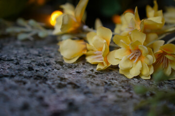 close up of grey marble table background with yellow flowers