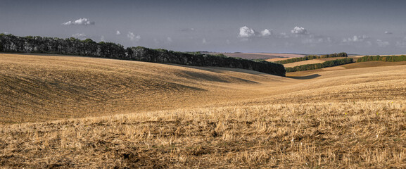 Agroindustrial Sectors Ukraine Panorama Agricultural