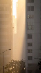 Golden Sunlight Between Tall Buildings in Urban Cityscape Featuring Trees and Streetlights