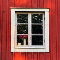 White framed window on red wooden wall with flowers inside
