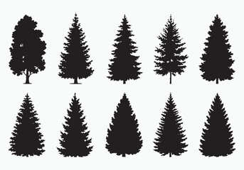 Fototapeta premium Collection of diverse evergreen tree silhouettes perfect for nature and forest themed designs white background