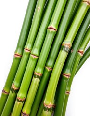 Fototapeta premium Fresh green sugarcane stalks isolated on white, vibrant and healthy, ready for juicing or processing, detail, plantation