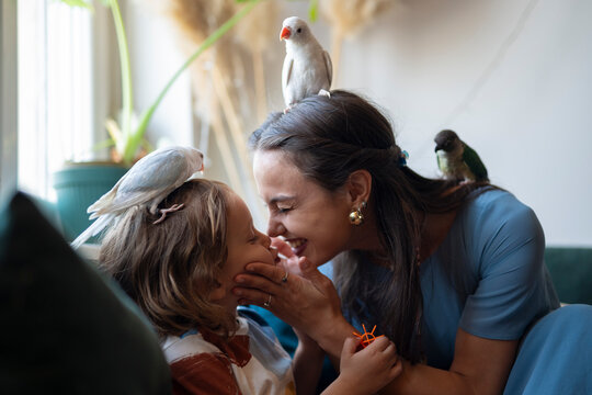 Happy mother touching noses with her son while parrots sit on their heads and shoulders at home, playful family moment.