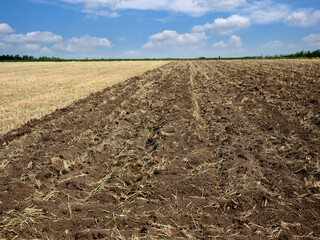 Empty plowed field next to uncultivated field.