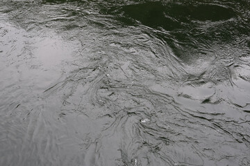 ripples in the water