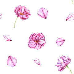 Seamless Pattern with Pink flowers and rose petals on a white background. Watercolor botanical background of flowers and cherry petals. Pattern with flowers for your designs, wallpapers, clothing