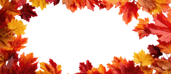 Autumn leaves frame a black center