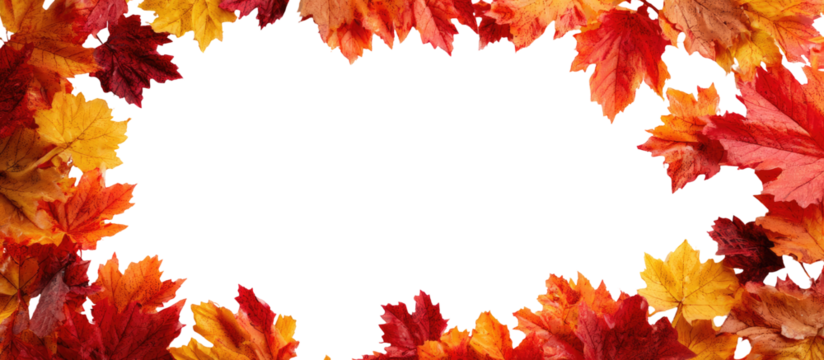 Autumn leaves frame a black center