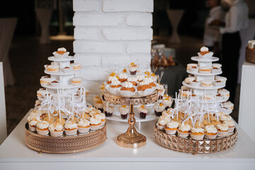 Elegant dessert table with cupcakes and sweets at a luxury celebration event