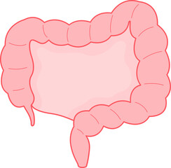 Illustration of a Human Large Intestine