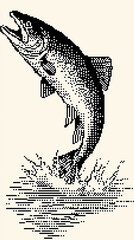 Naklejka premium Brook Trout Leaping from a Rushing River in a Dynamic Splash of Water Droplets and Motion