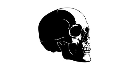 Vector Minimalist Black and White SVG Illustration of Human Skull with Geometric Style for Digital and Web Design