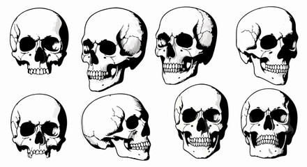 Minimalist Vector SVG Illustration Set of Skulls with Black Outlines and Shaded Details in Monochrome Style for Digital Design