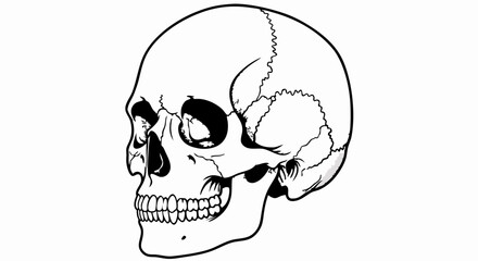 Vector Minimalist Line Art SVG Illustration of a Skull with Organic Shapes in Black and White Geometric Style for Digital Art and Tattoo Design