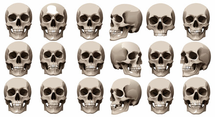 Vector SVG Illustration of Skulls with Realistic Organic Shapes in Dark Color Palette Modern Flat Design