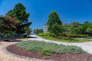 Bike path and sidewalk in a pedestrian area of ​​the city center. Trees and shrubs.