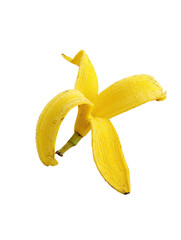 A peeled banana, star-shaped peel, vibrant yellow