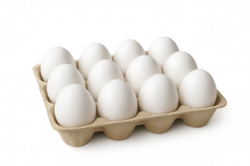 Twelve white eggs are nestled in a cardboard carton, ready for cooking or baking, isolated on a transparent background