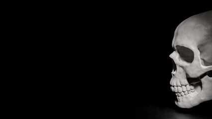 The Skull on Black Background for sci or medical concept 3d Rendering.