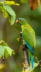 Vibrant parrot perched in jungle
