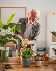 Senior man cleaning houseplant leaves, enjoying gardening hobby at home