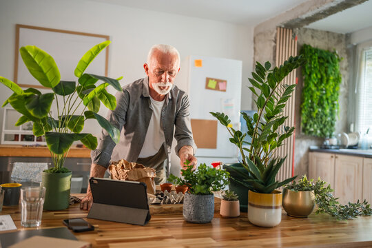 Senior botanist analyzing plants with digital tablet in home office