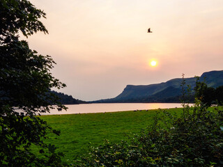 A herd of sheep are grazing in a lush green field. The sun is setting in the background, casting a...
