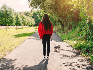 Girl with small cute Yorkshire terrier on a walk in a summer park. Model wears red jacket and has...