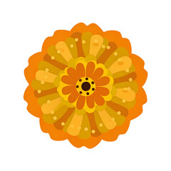 One yellow marigold. Floral decoration for Indian floral festive garland toran. Zendu flower isolated on background. Diwali, Halloween Dia de los Muertos holiday celebration. Vector illustration 