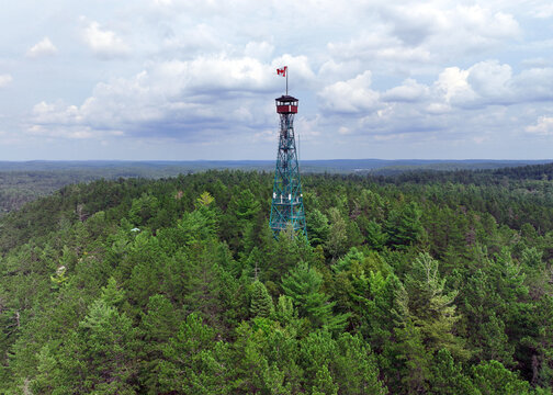 Aerial view of a tall fire lookout tower with a Canadian flag at the top, rising above a dense forest under a cloudy sky