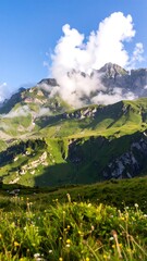 Fototapeta premium Lush green mountain valley stretches under a vibrant blue sky, blanketed with fluffy white clouds, creating a serene and majestic landscape.