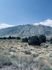Eastern Sierra Mountains South Of Mammoth