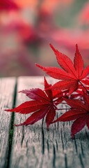 Vibrant red maple leaves on weathered wood