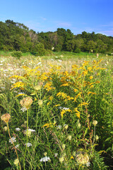 Shabbona Lake State Park in Illinois